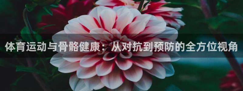 风速体育app：体育运动与骨骼健康：从对抗到预防的全方位视角
