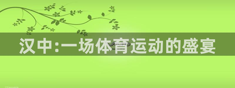 风速体育：汉中:一场体育运动的盛宴