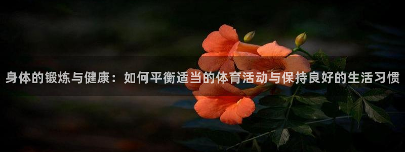 风速体育下载：身体的锻炼与健康：如何平衡适当的体育活动与保持良好的生活习惯