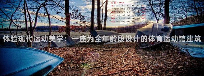 风速体育app下载安装最新版本：体验现代运动美学：一座为全年龄段设计的体育运动馆建筑