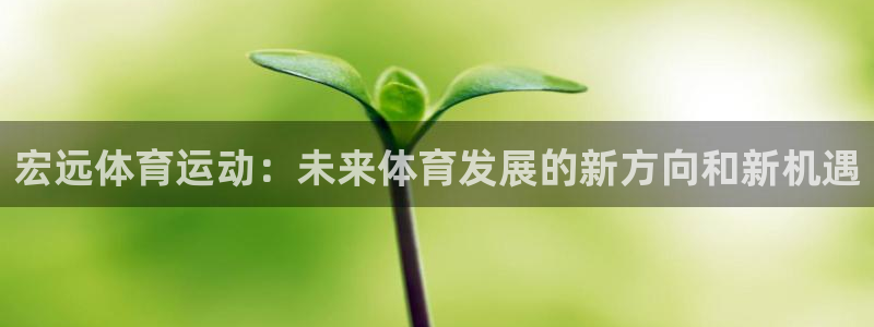 风速体育直播app：宏远体育运动：未来体育发展的新方向和新机遇