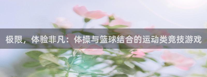 风速体育直播app：极限，体验非凡：体操与篮球结合的运动类竞技游戏