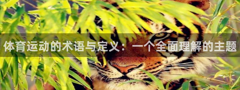 风速体育app：体育运动的术语与定义：一个全面理解的主题