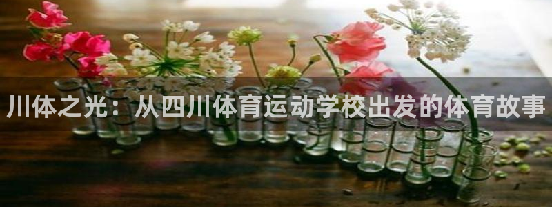 风速体育app下载官网最新版：川体之光：从四川体育运动学校出发的体育故事