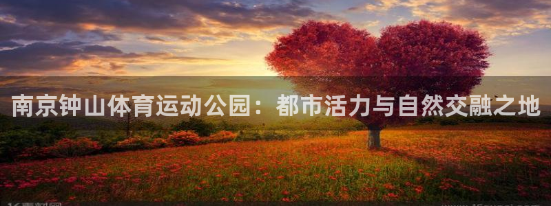 风速体育直播app：南京钟山体育运动公园：都市活力与自然交融之地