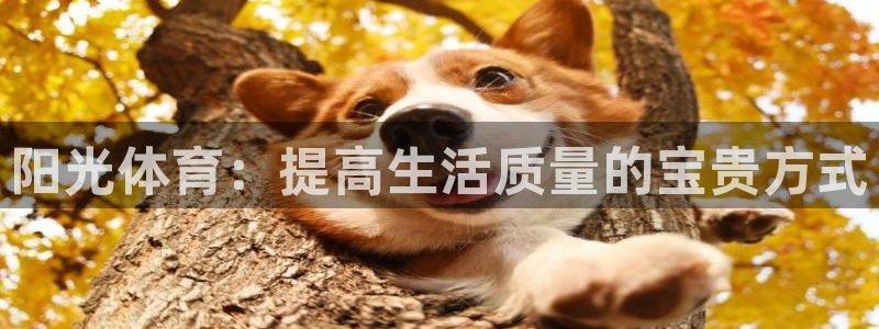 风速体育直播app：阳光体育：提高生活质量的宝贵方式