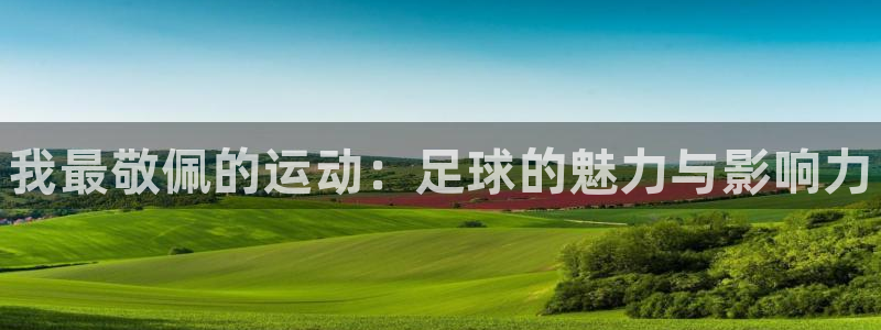 风速体育app官方下载：我最敬佩的运动：足球的魅力与影响力