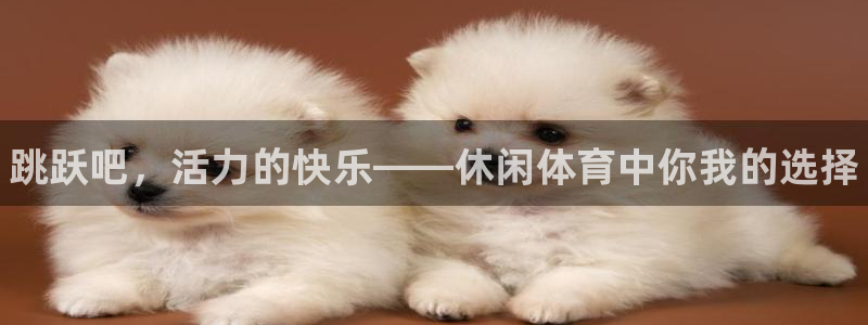 风速体育app下载官网最新版：跳跃吧，活力的快乐——休闲体育中你我的选择