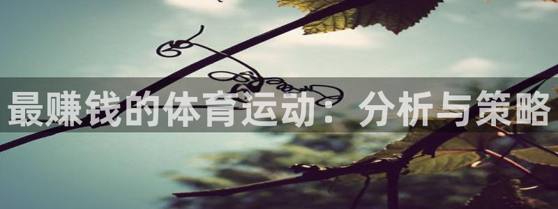 风速体育：最赚钱的体育运动：分析与策略