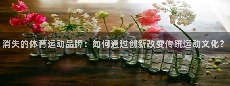 风速体育cba直播：消失的体育运动品牌：如何通过创新改变传统运动文化？