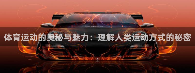 风速体育直播：体育运动的奥秘与魅力：理解人类运动方式的秘密