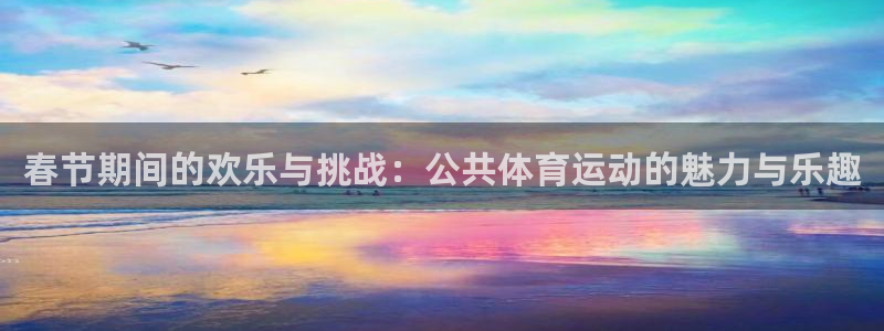 风速体育app官方下载：春节期间的欢乐与挑战：公共体育运动的魅力与乐趣