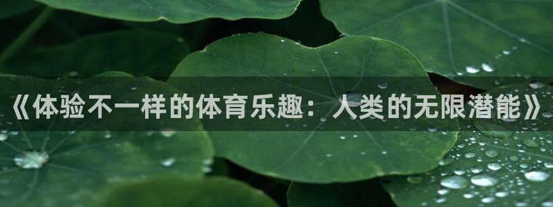 风速体育官网：《体验不一样的体育乐趣：人类的无限潜能》