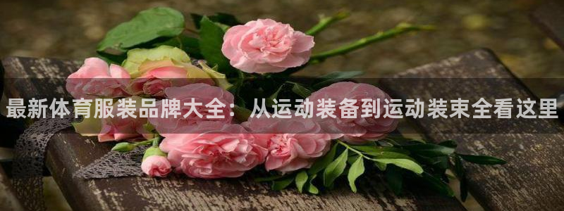 风速体育直播：最新体育服装品牌大全：从运动装备到运动装束全看这里