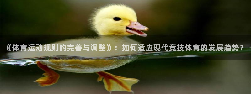风速体育cba直播：《体育运动规则的完善与调整》：如何适应现代竞技体育的发展趋势？