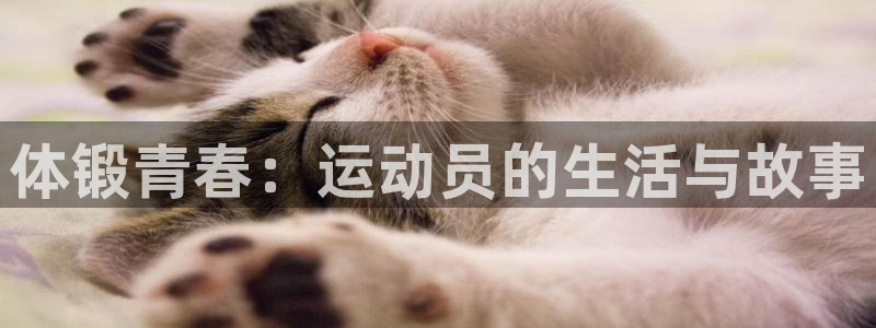风速体育直播app：体锻青春：运动员的生活与故事