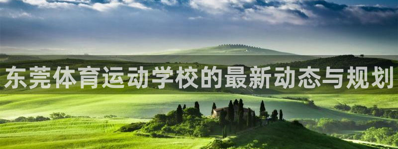 风速体育nba免费直播：东莞体育运动学校的最新动态与规划