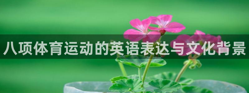 风速体育app下载安装最新版本：八项体育运动的英语表达与文化背景