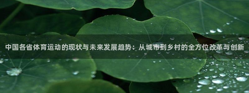 风速体育：中国各省体育运动的现状与未来发展趋势：从城市到乡村的全方位改革与创新