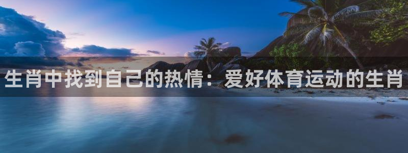风速体育下载：生肖中找到自己的热情：爱好体育运动的生肖