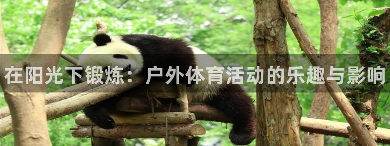 风速体育直播：在阳光下锻炼：户外体育活动的乐趣与影响