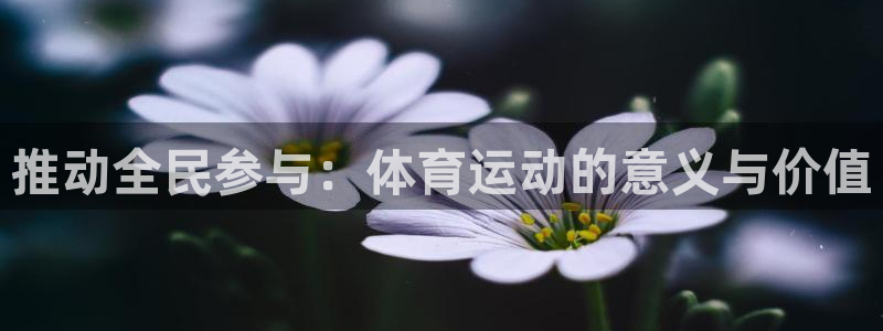 风速体育直播app：推动全民参与：体育运动的意义与价值