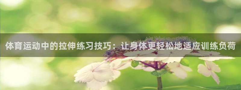 风速体育直播：体育运动中的拉伸练习技巧：让身体更轻松地适应训练负荷