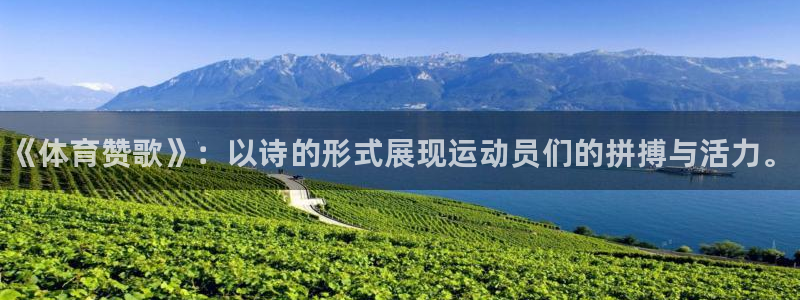 风速体育下载：《体育赞歌》：以诗的形式展现运动员们的拼搏与活力。