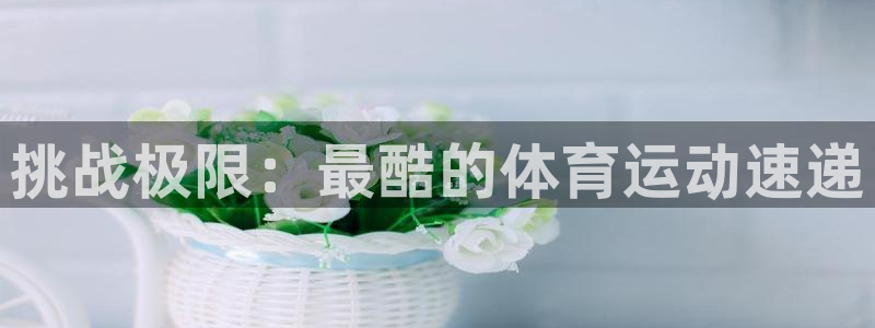 风速体育nba直播：挑战极限：最酷的体育运动速递