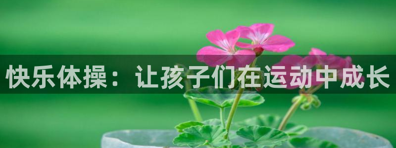 下载风速体育：快乐体操：让孩子们在运动中成长
