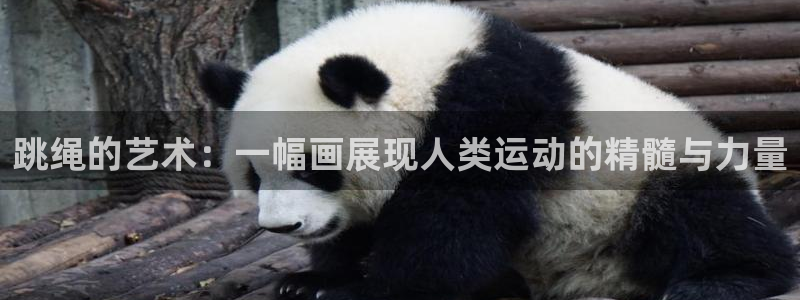 风速体育下载：跳绳的艺术：一幅画展现人类运动的精髓与力量