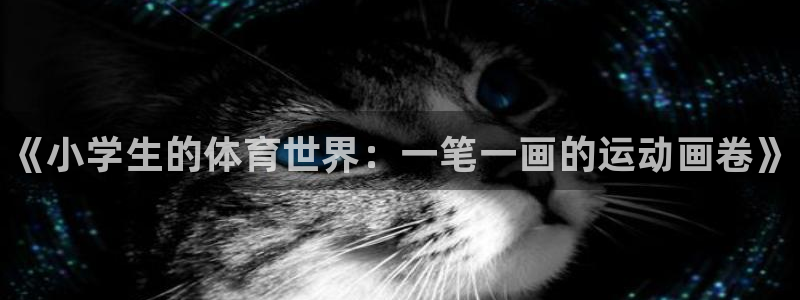 风速体育：《小学生的体育世界：一笔一画的运动画卷》