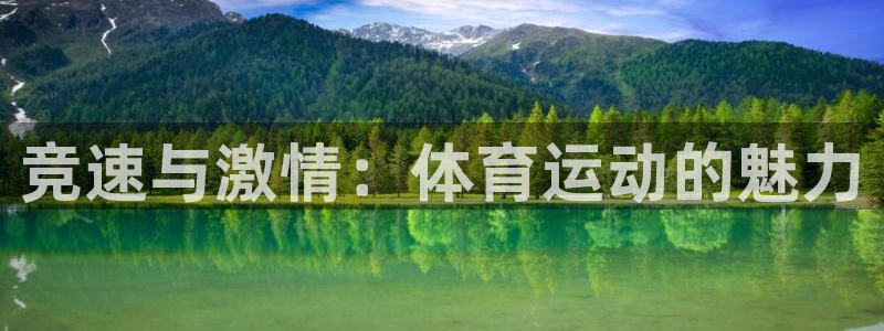 风速体育：竞速与激情：体育运动的魅力