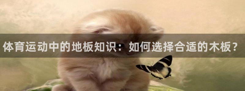 风速体育直播
