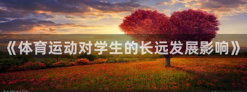 风速体育app下载官网最新版