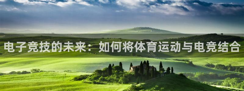 风速体育下载：电子竞技的未来：如何将体育运动与电竞结合