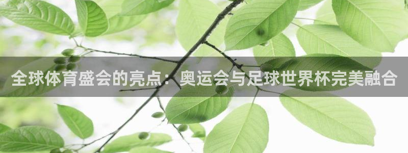 风速体育直播app：全球体育盛会的亮点：奥运会与足球世界杯完美融合